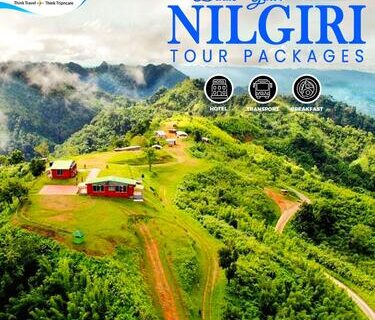 Discover-the-Untouched-Splendor-of-Nilgiri-Hills