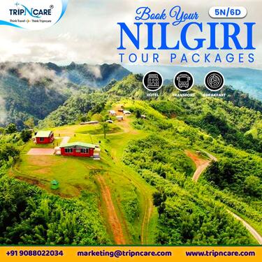 Discover the Untouched of Nilgiri Hills Tour Packages
