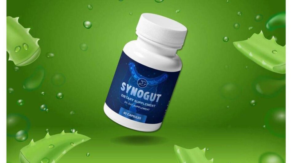 SynoGut Reviews – Does It really Work?