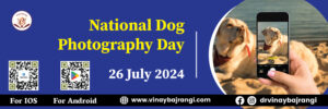 National-Dog-Photography